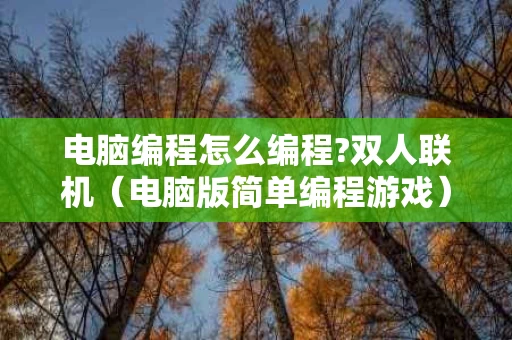 电脑编程怎么编程?双人联机（电脑版简单编程游戏）