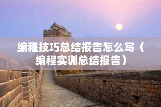 编程技巧总结报告怎么写（编程实训总结报告）