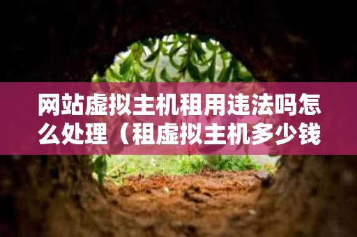网站虚拟主机租用违法吗怎么处理（租虚拟主机多少钱一个月）