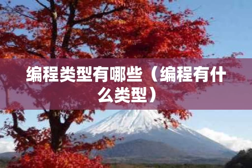 编程类型有哪些（编程有什么类型）