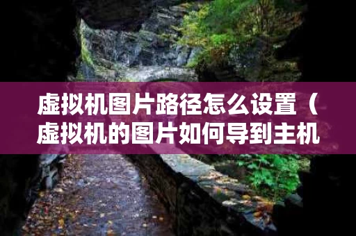 虚拟机图片路径怎么设置（虚拟机的图片如何导到主机）