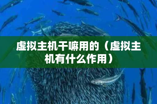 虚拟主机干嘛用的（虚拟主机有什么作用）