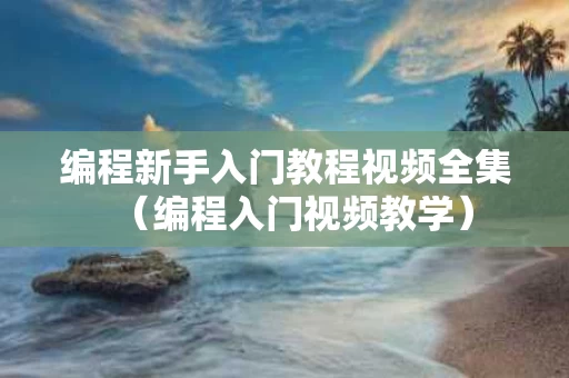 编程新手入门教程视频全集（编程入门视频教学）