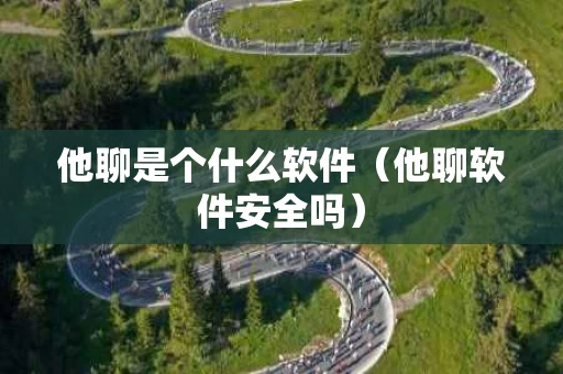 他聊是个什么软件（他聊软件安全吗）