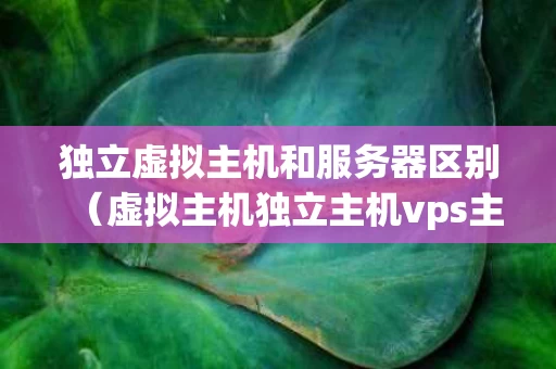 独立虚拟主机和服务器区别（虚拟主机独立主机vps主机）