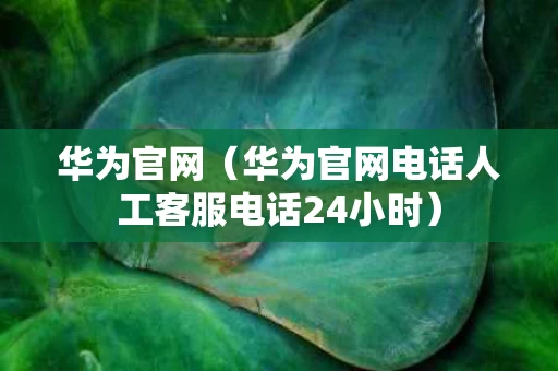 华为官网（华为官网电话人工客服电话24小时）