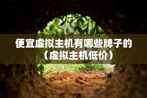 便宜虚拟主机有哪些牌子的（虚拟主机低价）