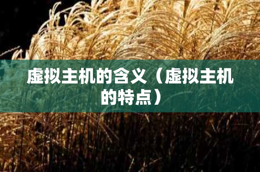 虚拟主机的含义（虚拟主机的特点）