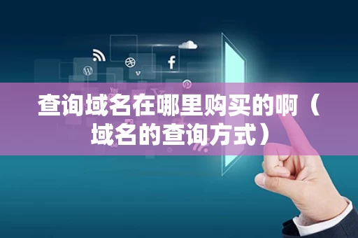 查询域名在哪里购买的啊（域名的查询方式）