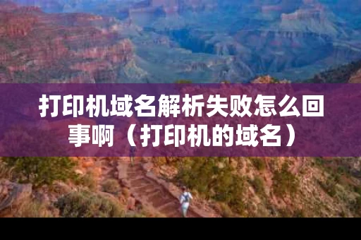 打印机域名解析失败怎么回事啊（打印机的域名）