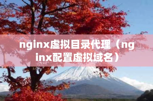 nginx虚拟目录代理（nginx配置虚拟域名）
