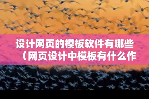 设计网页的模板软件有哪些（网页设计中模板有什么作用）