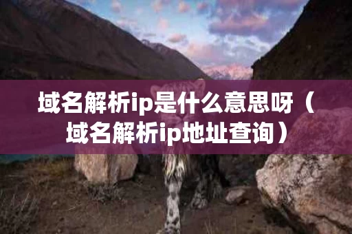 域名解析ip是什么意思呀（域名解析ip地址查询）