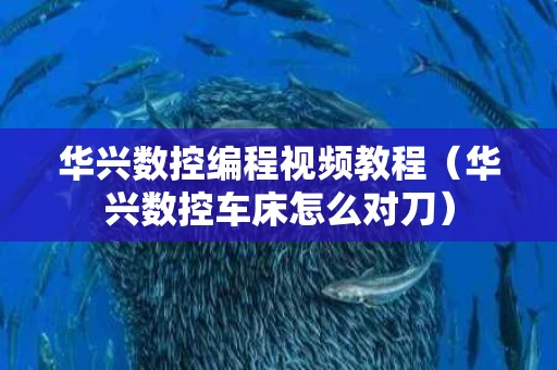 华兴数控编程视频教程（华兴数控车床怎么对刀）