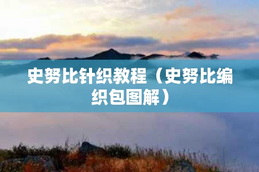 史努比针织教程（史努比编织包图解）