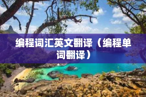 编程词汇英文翻译（编程单词翻译）