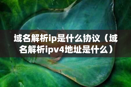 域名解析ip是什么协议（域名解析ipv4地址是什么）