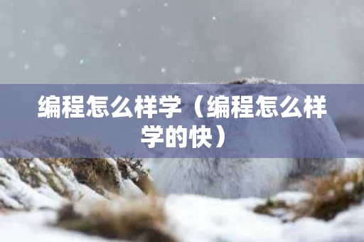 编程怎么样学（编程怎么样学的快）