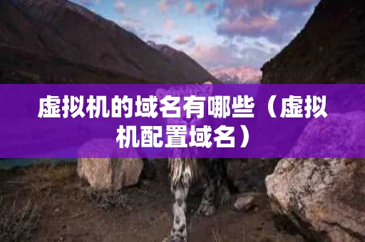 虚拟机的域名有哪些（虚拟机配置域名）