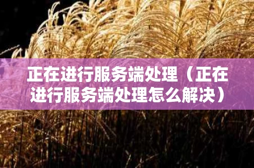 正在进行服务端处理（正在进行服务端处理怎么解决）