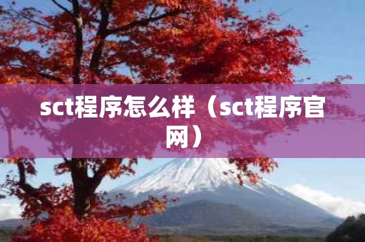 sct程序怎么样（sct程序官网）