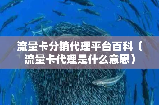 流量卡分销代理平台百科（流量卡代理是什么意思）
