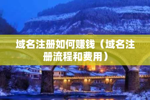 域名注册如何赚钱（域名注册流程和费用）