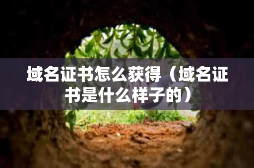 域名证书怎么获得（域名证书是什么样子的）