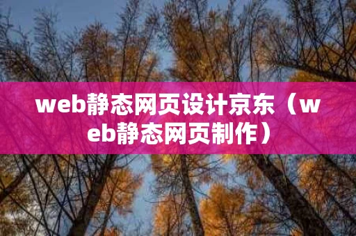 web静态网页设计京东（web静态网页制作）