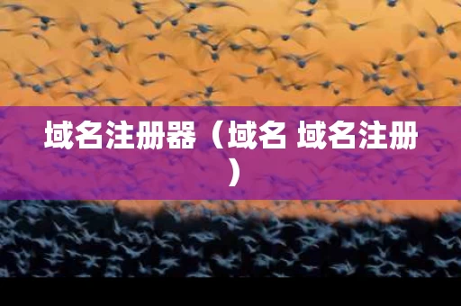 域名注册器（域名 域名注册）