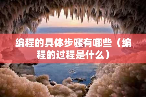 编程的具体步骤有哪些（编程的过程是什么）