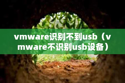 vmware识别不到usb（vmware不识别usb设备）