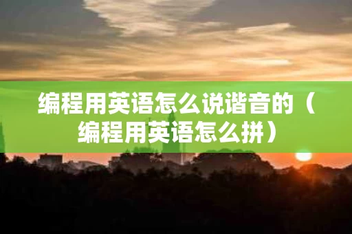 编程用英语怎么说谐音的（编程用英语怎么拼）