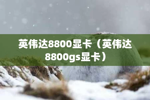 英伟达8800显卡（英伟达8800gs显卡）