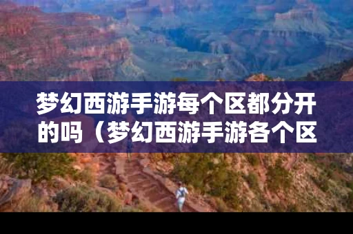 梦幻西游手游每个区都分开的吗（梦幻西游手游各个区互通吗）