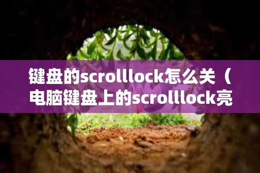 键盘的scrolllock怎么关（电脑键盘上的scrolllock亮了怎么关）