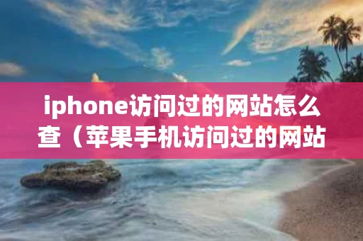 iphone访问过的网站怎么查（苹果手机访问过的网站在哪能看）