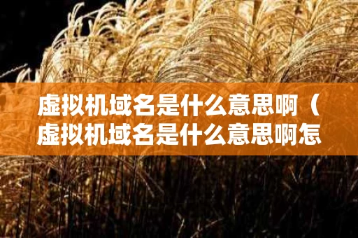 虚拟机域名是什么意思啊（虚拟机域名是什么意思啊怎么写）