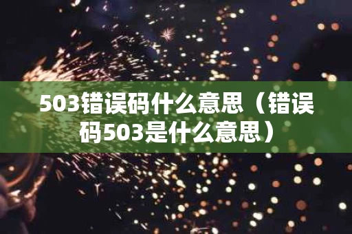 503错误码什么意思（错误码503是什么意思）