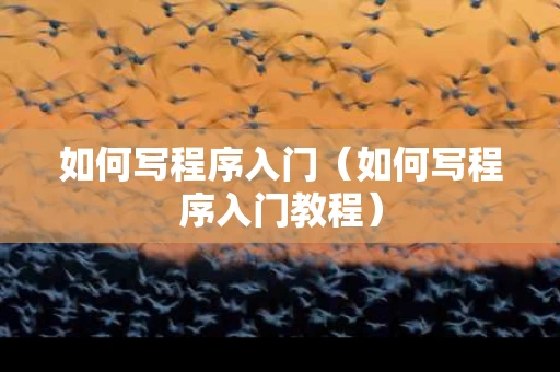 如何写程序入门（如何写程序入门教程）
