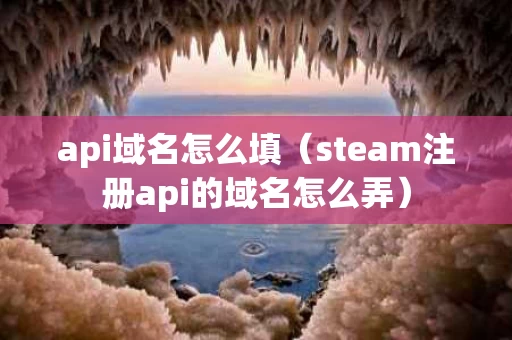api域名怎么填（steam注册api的域名怎么弄）