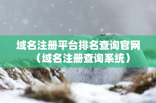 域名注册平台排名查询官网（域名注册查询系统）