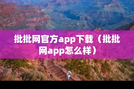 批批网官方app下载（批批网app怎么样）