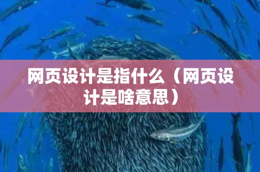 网页设计是指什么（网页设计是啥意思）