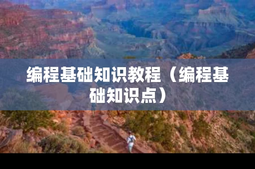 编程基础知识教程（编程基础知识点）