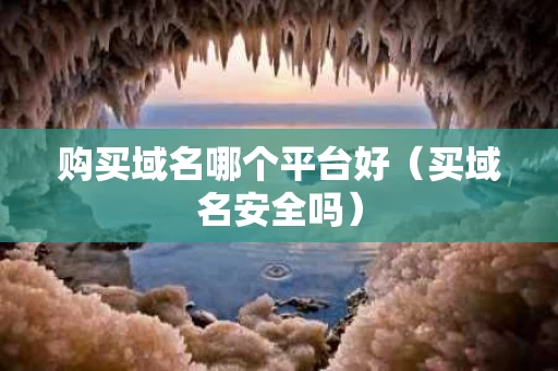 购买域名哪个平台好（买域名安全吗）
