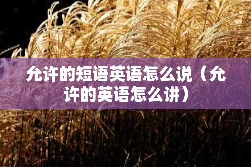 允许的短语英语怎么说（允许的英语怎么讲）
