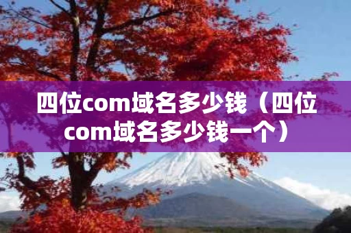 四位com域名多少钱（四位com域名多少钱一个）