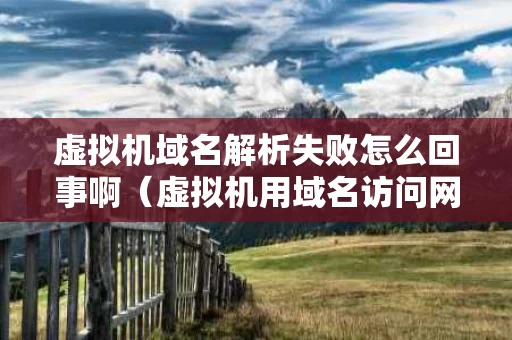 虚拟机域名解析失败怎么回事啊（虚拟机用域名访问网站）