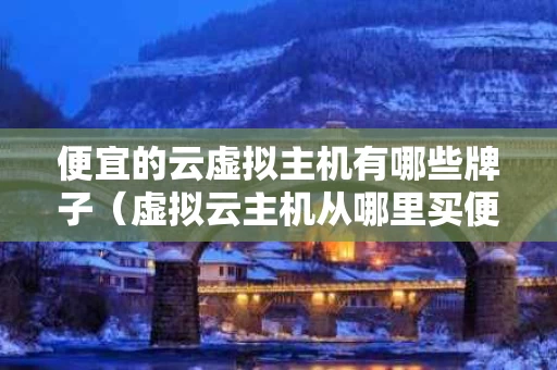 便宜的云虚拟主机有哪些牌子（虚拟云主机从哪里买便宜）